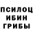 Галлюциногенные грибы Psilocybine cubensis radad02