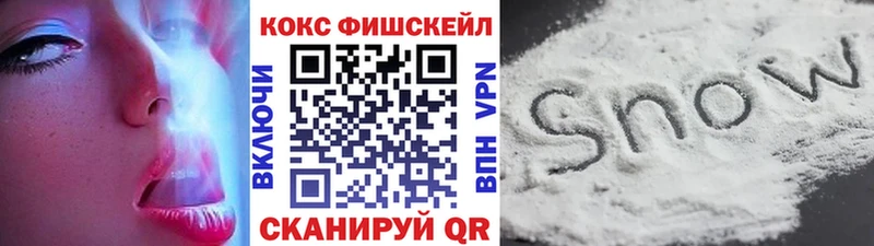 COCAIN Fish Scale  блэк спрут tor  Фролово  купить закладку 