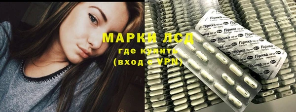 сатива Аркадак