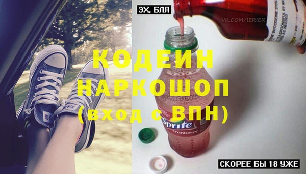 сатива Аркадак