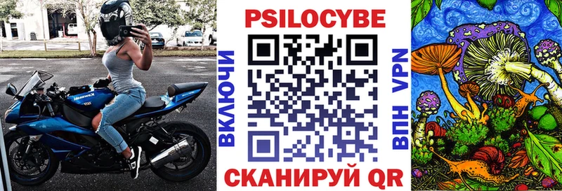 Галлюциногенные грибы Psilocybine cubensis  Фролово 